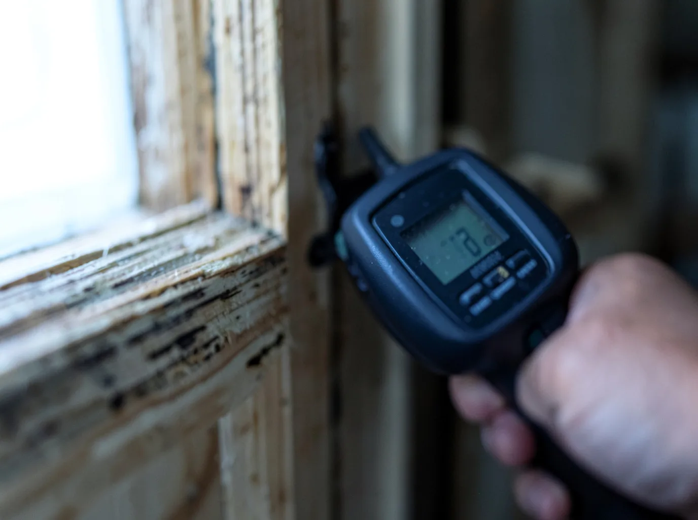Moisture Inspection And Documentation in Natoma, KS